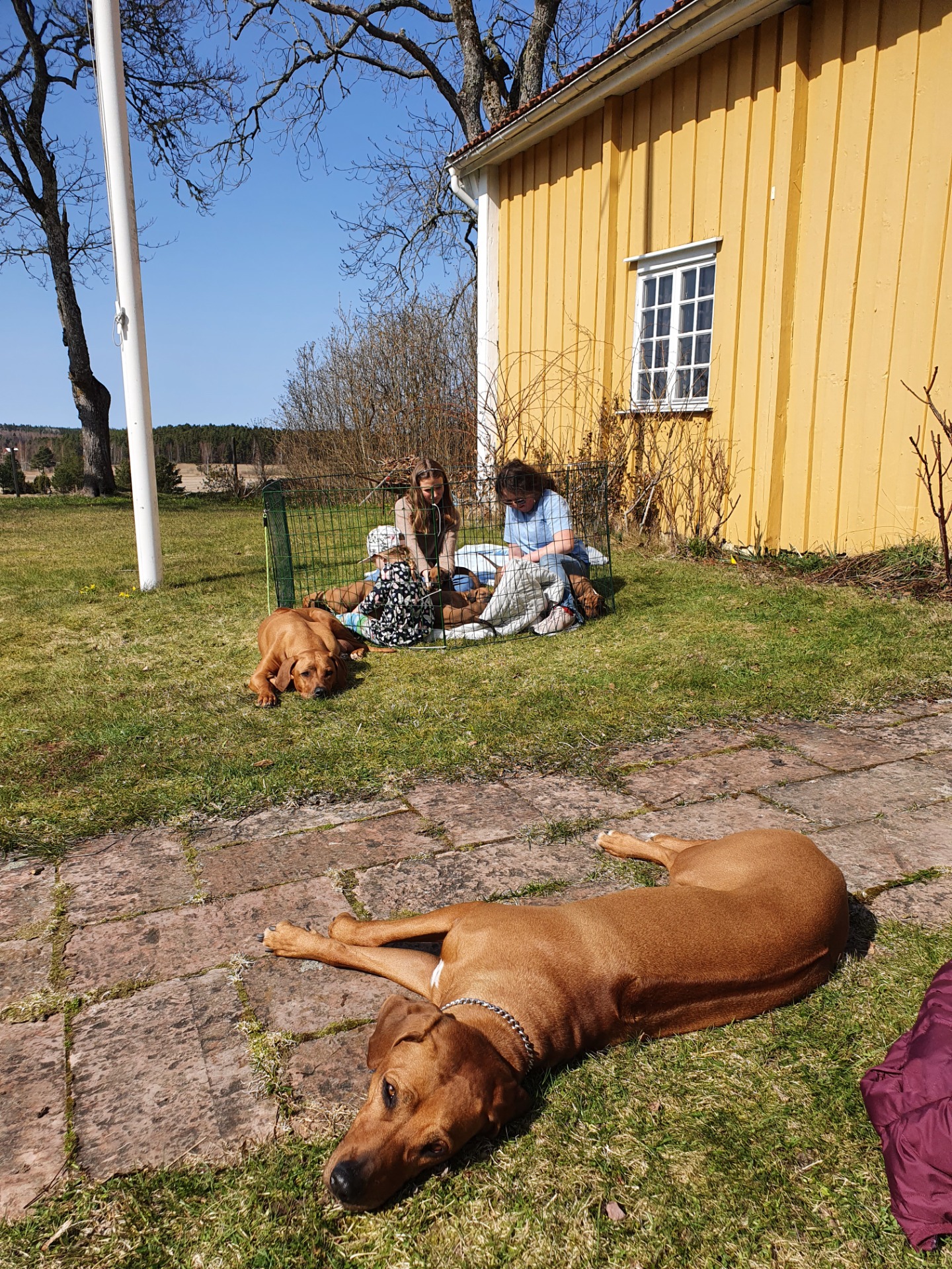 Spiras syster Disa med familj på besök, så mysigt!