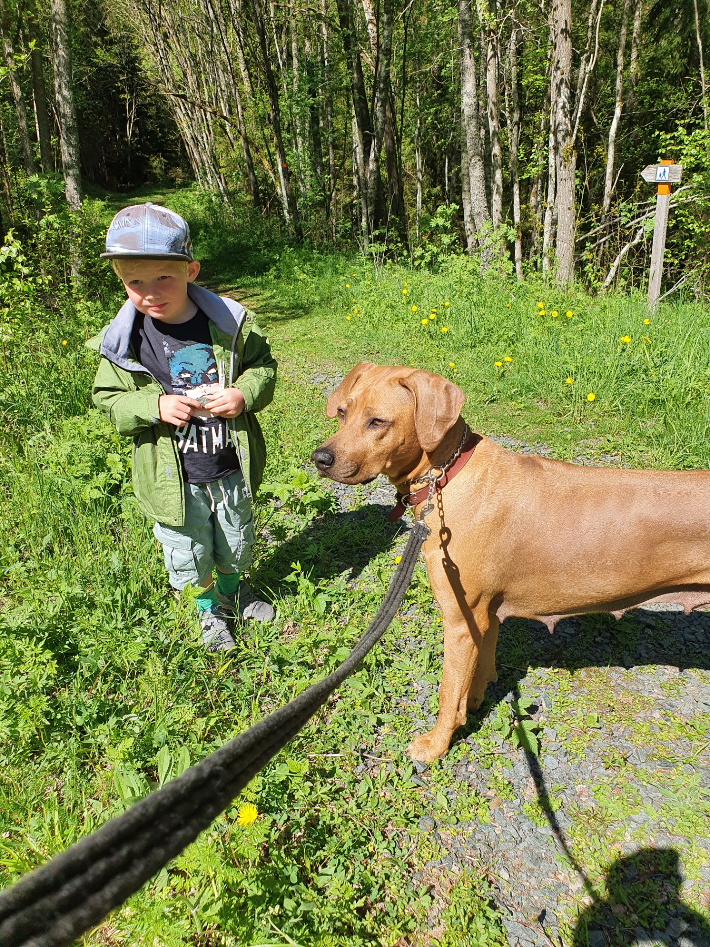 Alla valpar far flyttat ut och Spira njuter av livet!